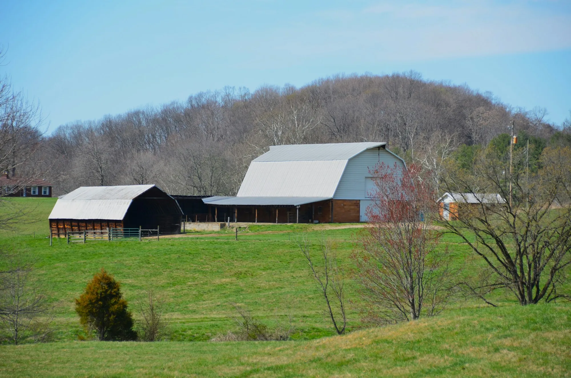 White barns on a green farm hillside