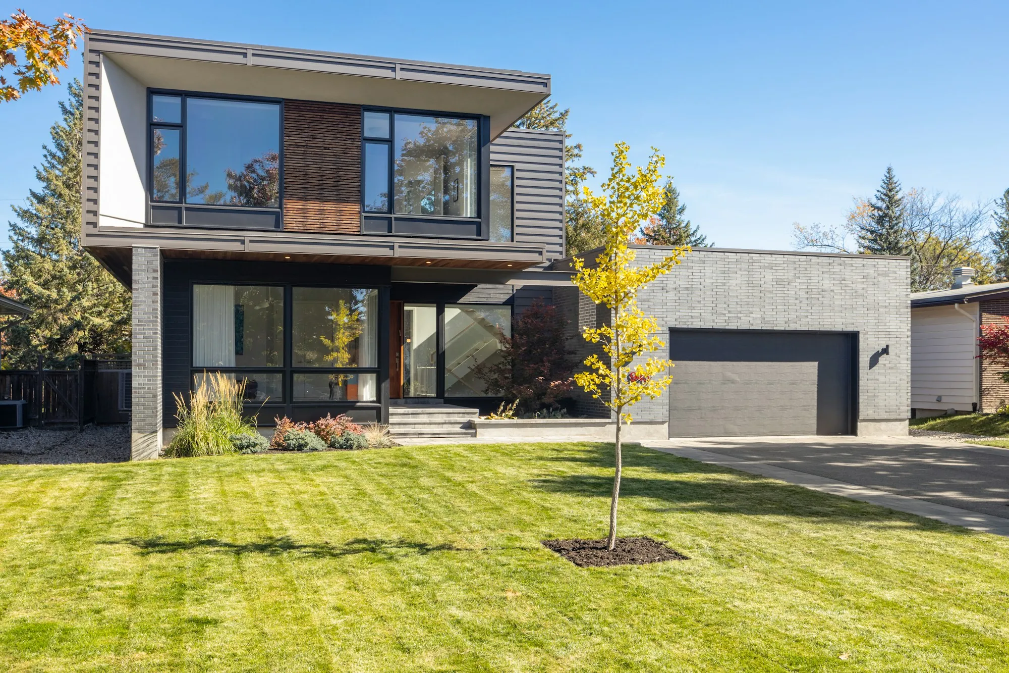 Modern two-story house with dark siding, a garage and a young tree on the lawn